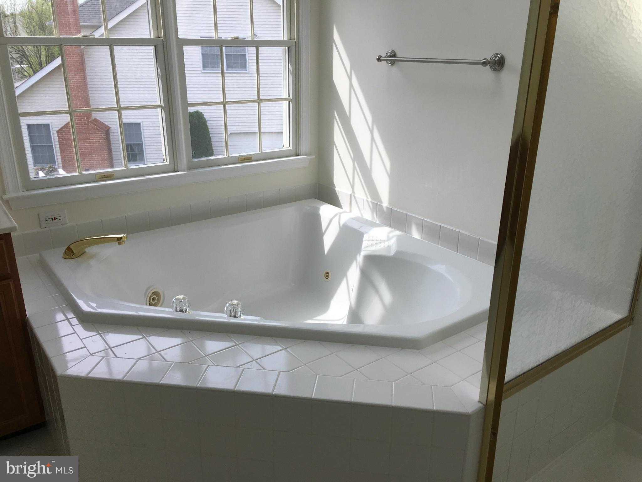 1301 Gatesmeadow Way Reston, VA 20194 - Photo 22 of 30 Bath (Master)