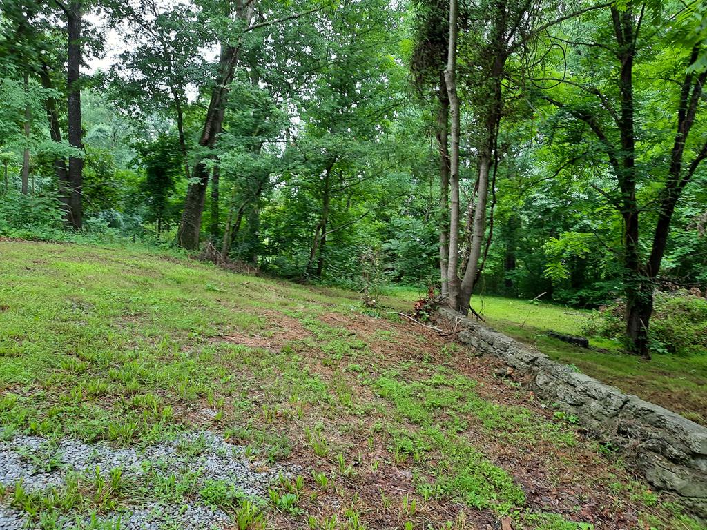 186 Banks Chapel Road Northeast Ranger, GA 30734 - Photo 5 of 31 Gallery Image 5