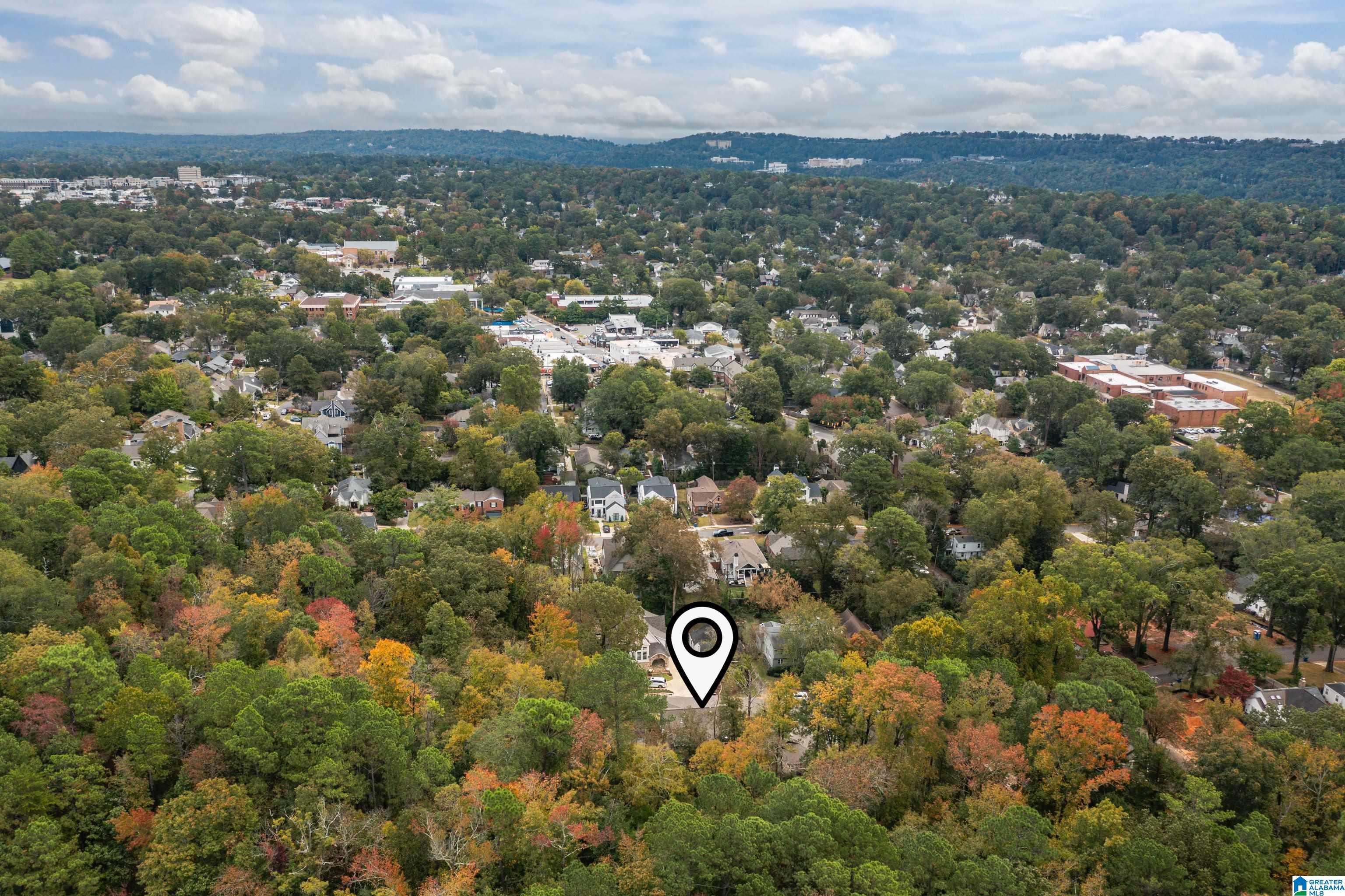 210 Edgeview Avenue Birmingham, AL 35209 - Photo 9 of 93