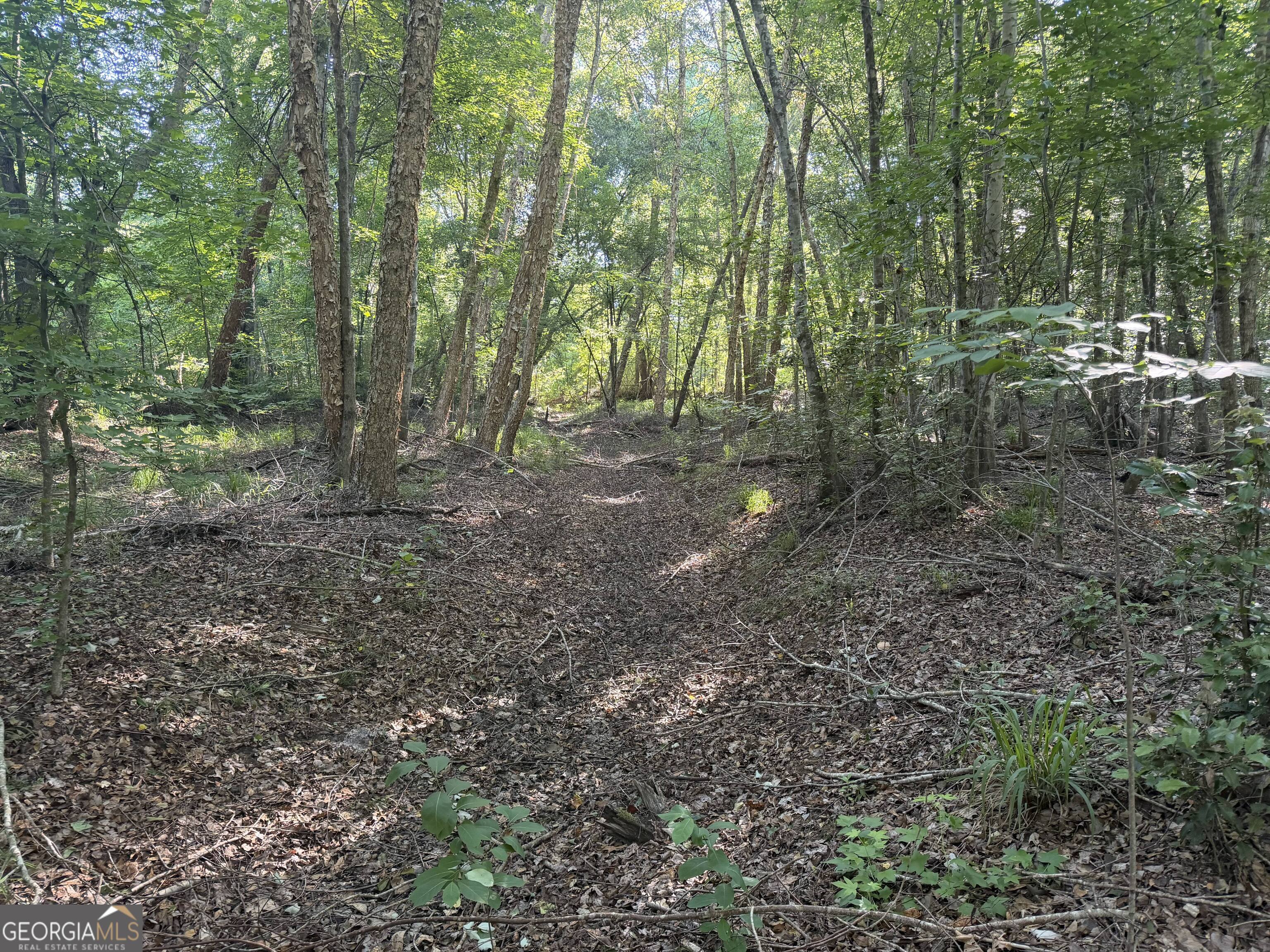 0 Branan Road Toomsboro, GA 31090 - Photo 22 of 28