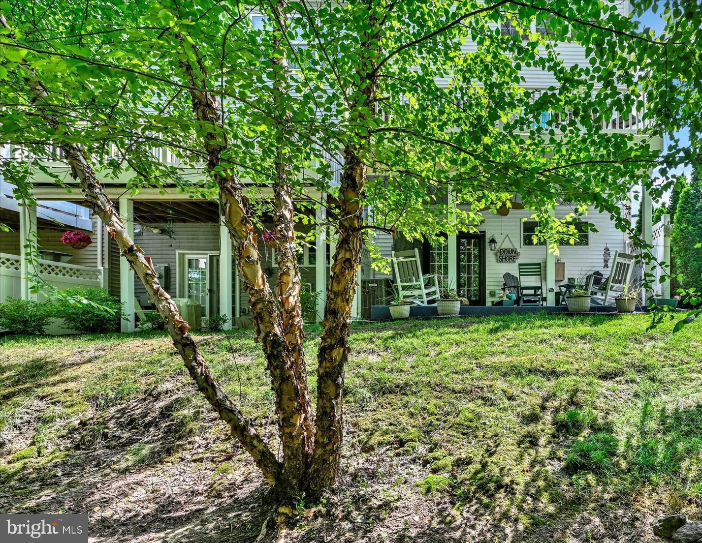 2596 Twin Birch Road Hanover, MD 21076 - Photo 29 of 34 View back from the woods.