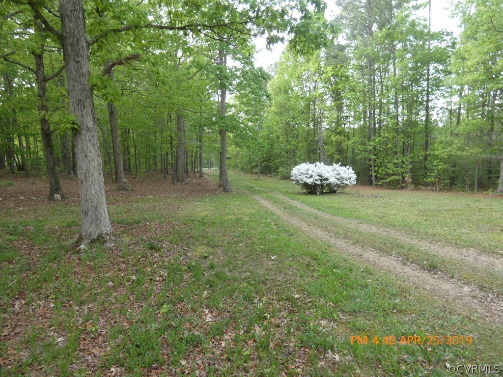16210 Glebe Road Dewitt, VA 23840 - Photo 3 of 31 a view of a field with trees in the background
