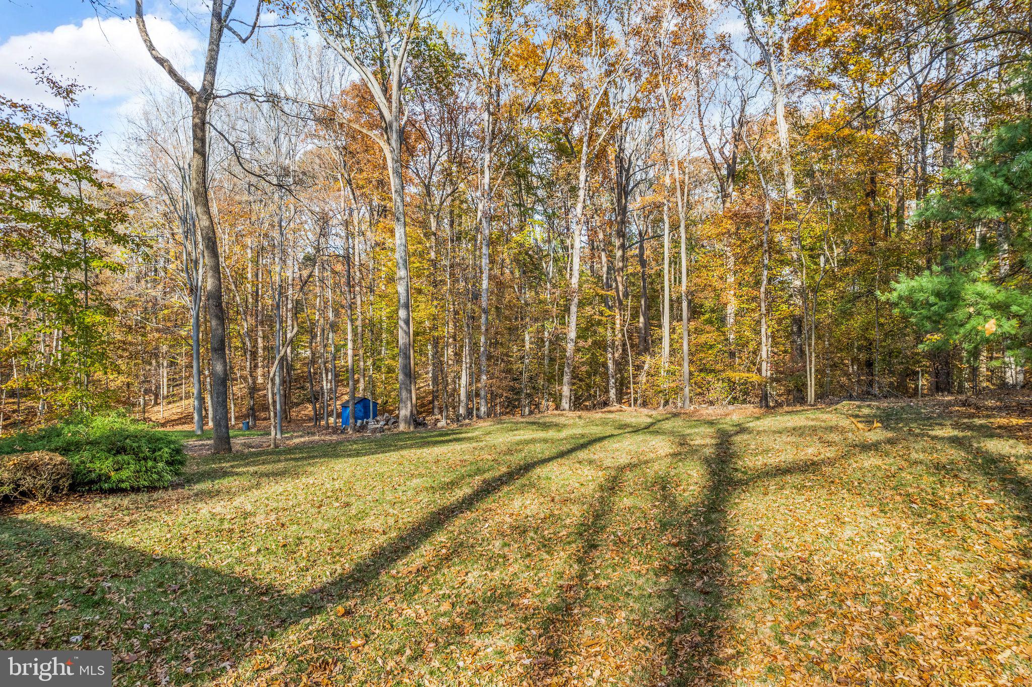 8084 Counselor Road Manassas, VA 20112 - Photo 54 of 62 Gallery Image 54