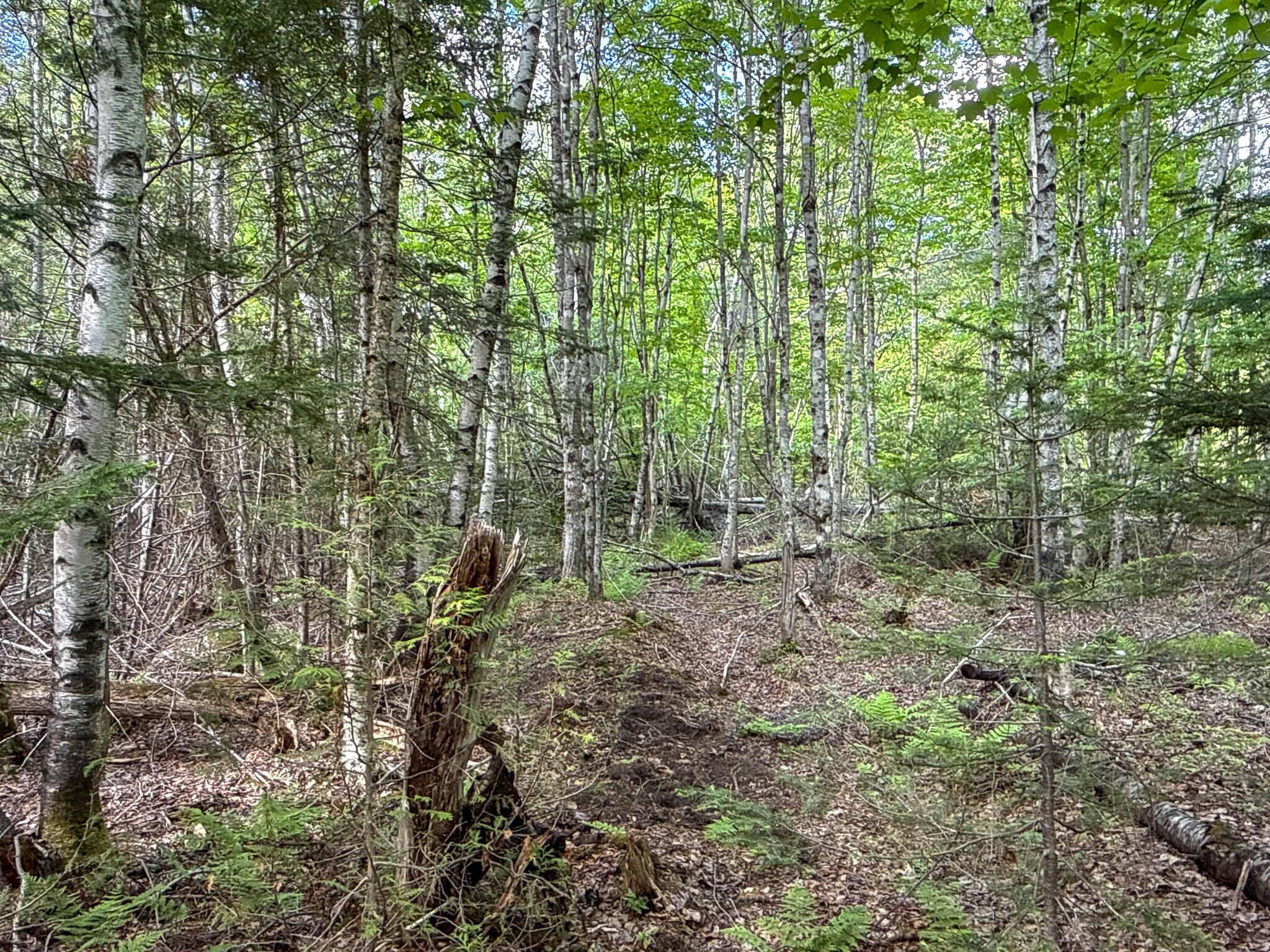 11 Bartlett Road Springfield, ME 04487 - Photo 33 of 36 20