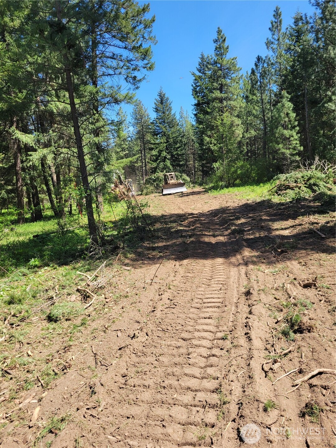 10 Summit View Cle Elum, WA 98922 - Photo 11 of 25 a view of a yard with trees