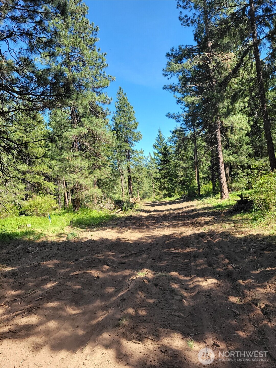 10 Summit View Cle Elum, WA 98922 - Photo 12 of 25 a view of a yard