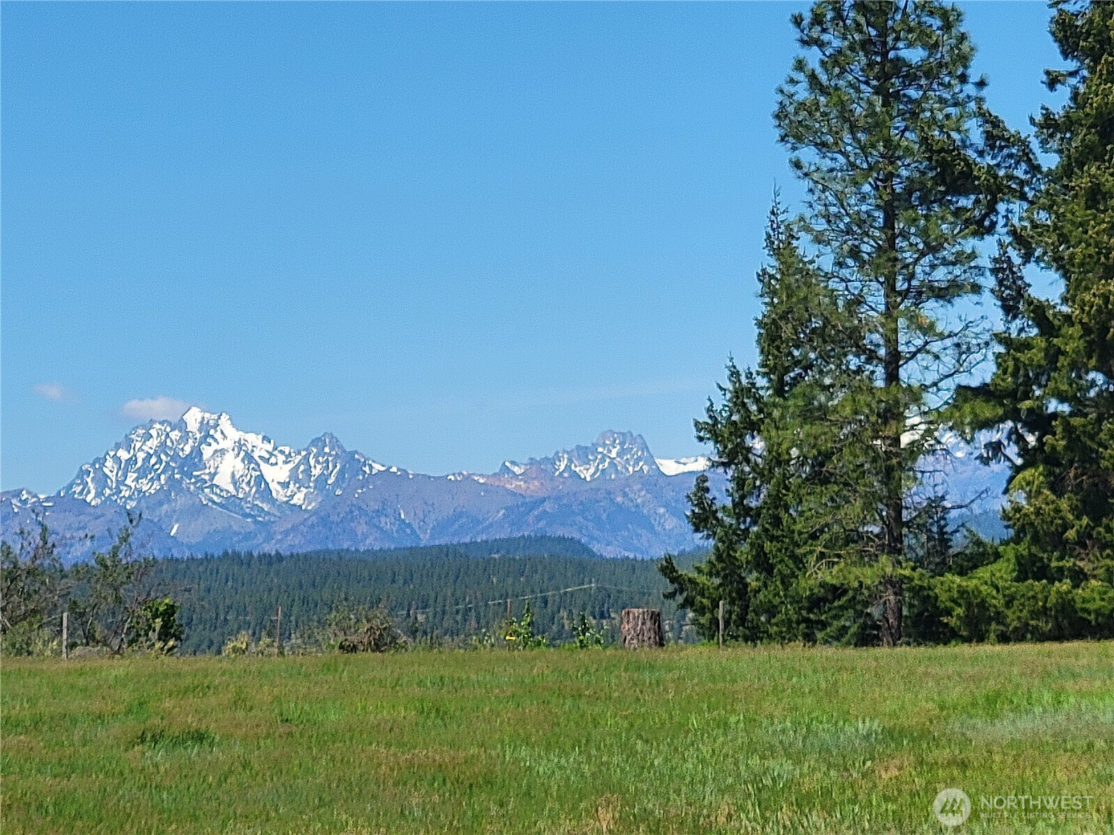 10 Summit View Cle Elum, WA 98922 - Photo 13 of 25 a view of a lush green outdoor space with a garden