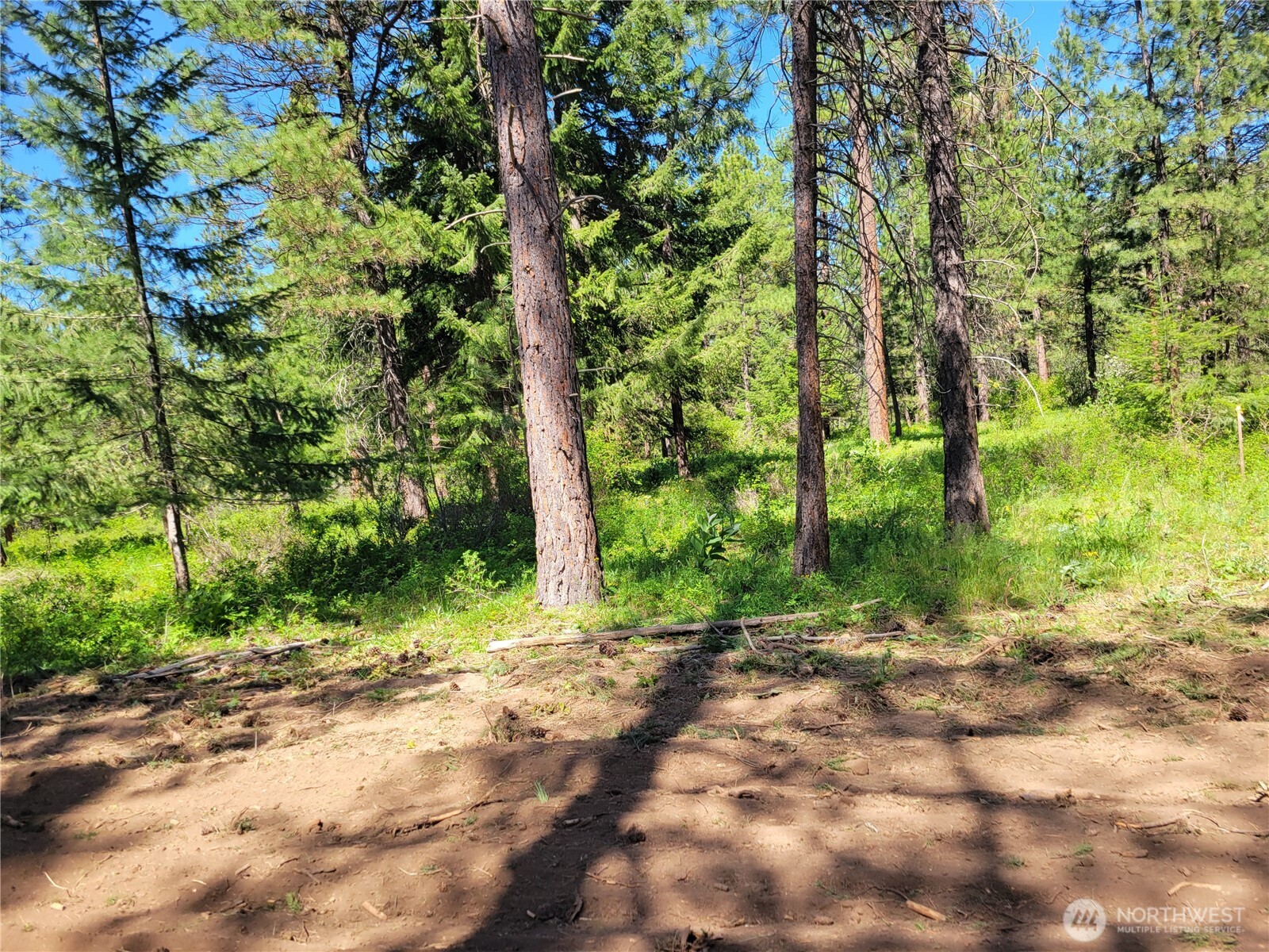 10 Summit View Cle Elum, WA 98922 - Photo 10 of 25 a view of backyard