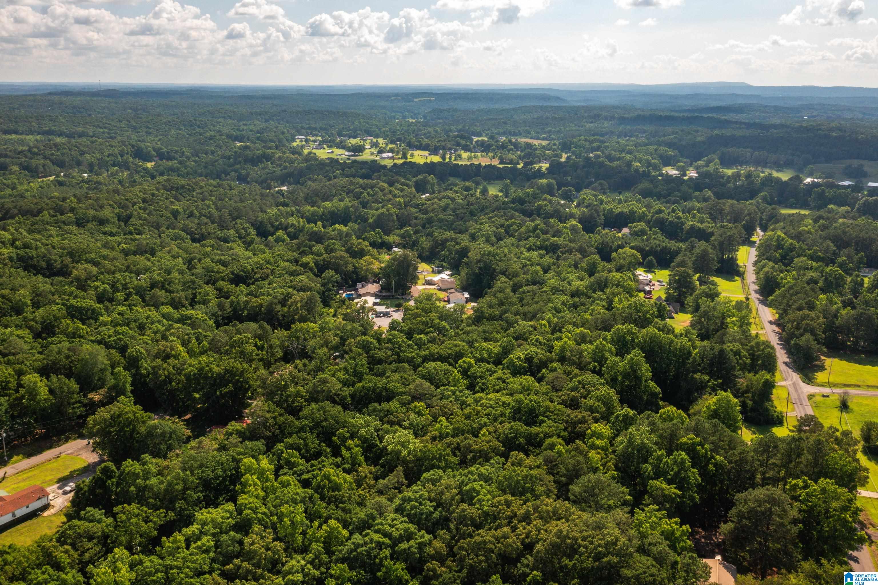 650 Davidson Drive Locust Fork, AL 35097 - Photo 45 of 55