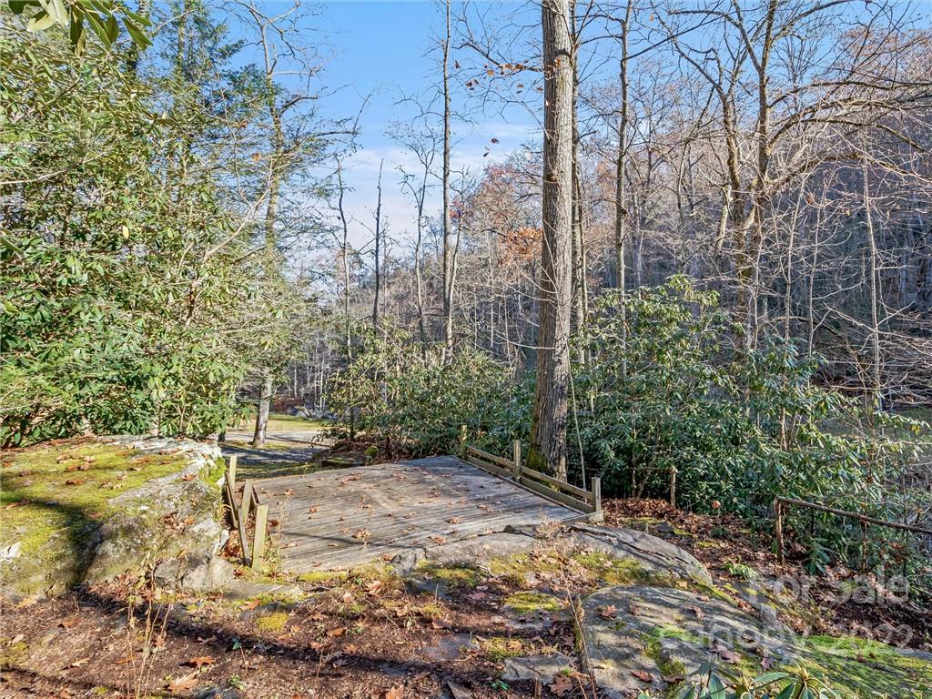 4580 Chimney Rock Road Hendersonville, NC 28792 - Photo 33 of 37 Gallery Image 33