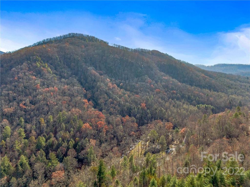 4580 Chimney Rock Road Hendersonville, NC 28792 - Photo 34 of 37 Gallery Image 34