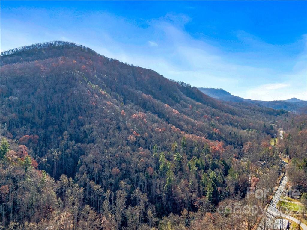 4580 Chimney Rock Road Hendersonville, NC 28792 - Photo 35 of 37 Gallery Image 35