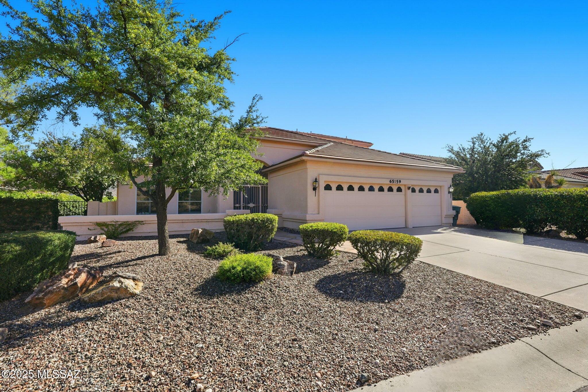 65159 East Diamond Ridge Court Tucson, AZ 85739 - Photo 19 of 49