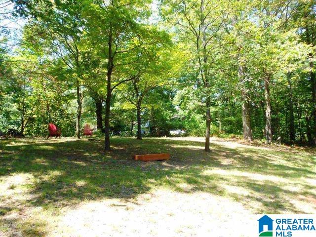 6742 Old Springville Road Pinson, AL 35126 - Photo 3 of 24