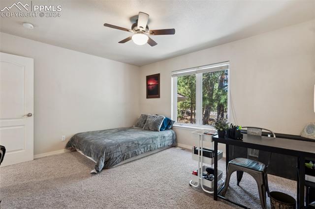 15580 Falcon Ridge Court Colorado Springs, CO 80921 - Photo 30 of 49 Gallery Image 30