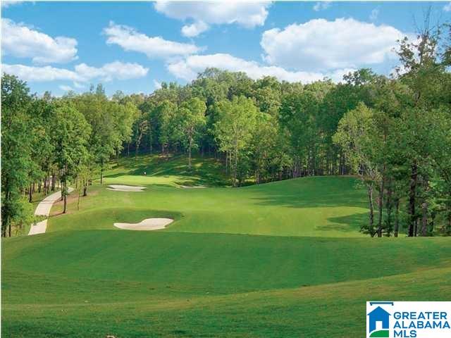 536 Timberline Trail Calera, AL 35040 - Photo 48 of 50