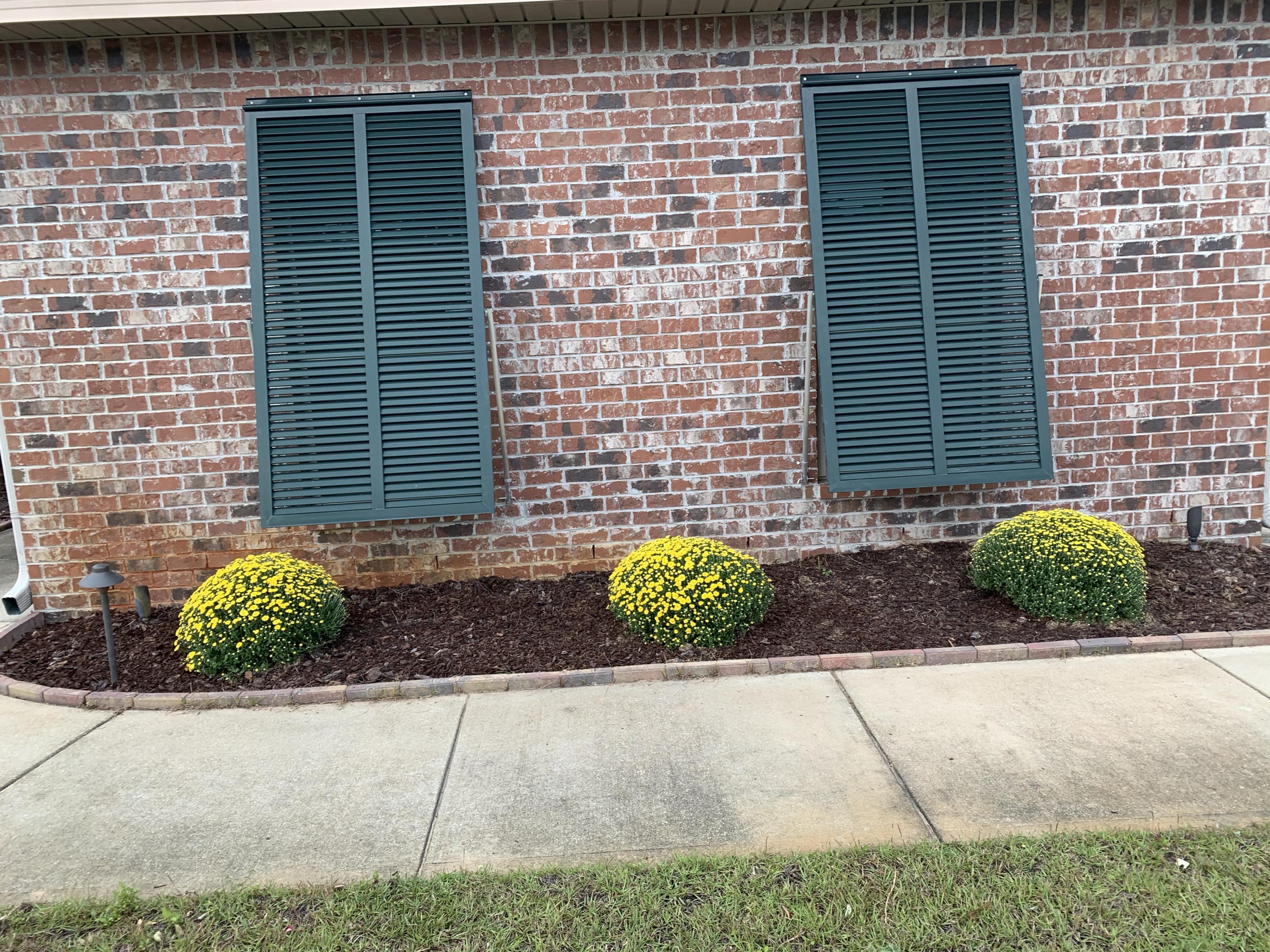 387 Pin Oak Loop Santa Rosa Beach, FL 32459 - Photo 4 of 36 a couple of potted plants in front of door