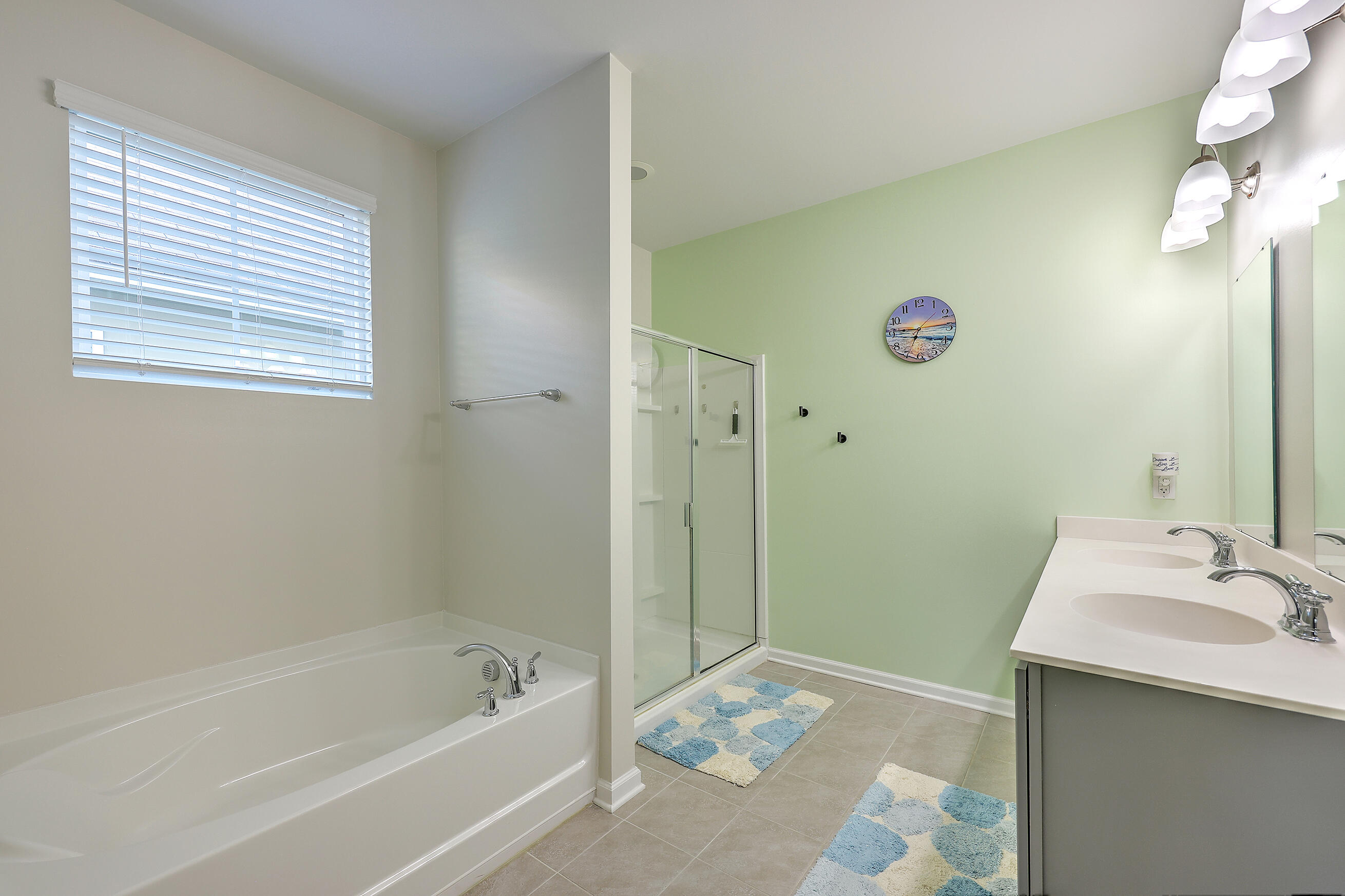 206 Rhodes Court Summerville, SC 29486 - Photo 16 of 42 Master Bathroom - seperate Tub & Shower