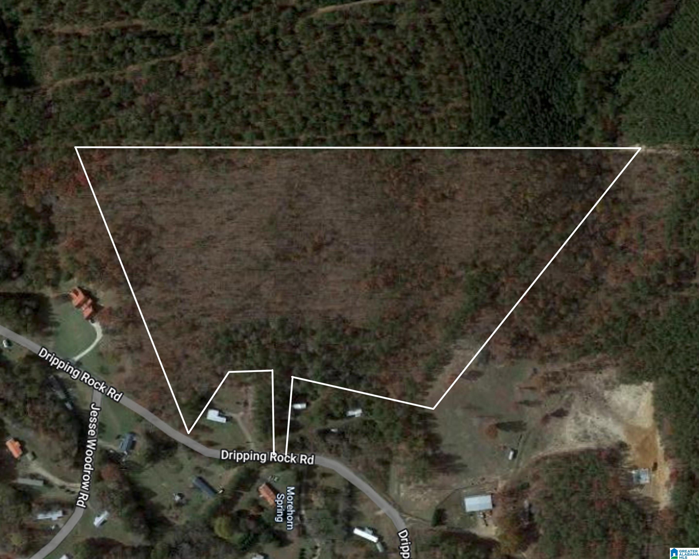 0 Dripping Rock Road Jacksonville, AL 36265 - Photo 1 of 14