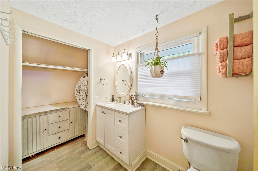 933 Long Shadow Lane Rome, OH 44085 - Photo 15 of 25 Bathroom featuring vanity, a textured ceiling, hardwood / wood-style flooring, and toilet