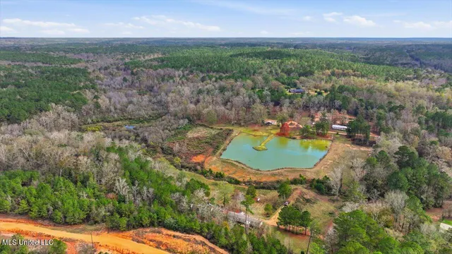 $259,900 | 126 Batton Lake Drive, Mendenhall, MS 39114