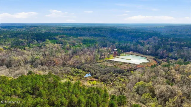 $259,900 | 126 Batton Lake Drive, Mendenhall, MS 39114