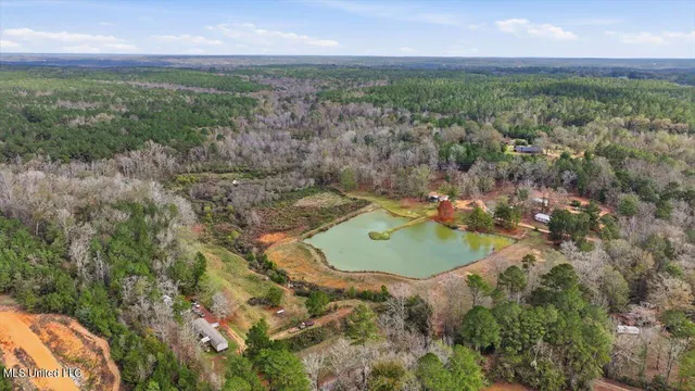 $259,900 | 126 Batton Lake Drive, Mendenhall, MS 39114