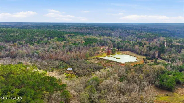 $259,900 | 126 Batton Lake Drive, Mendenhall, MS 39114