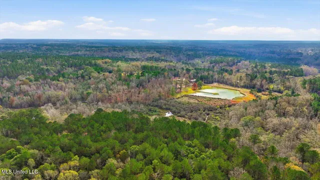 $259,900 | 126 Batton Lake Drive, Mendenhall, MS 39114