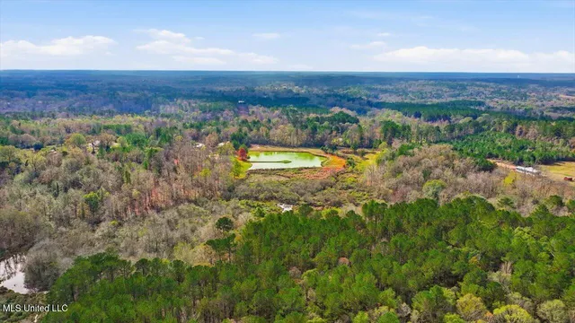 $259,900 | 126 Batton Lake Drive, Mendenhall, MS 39114