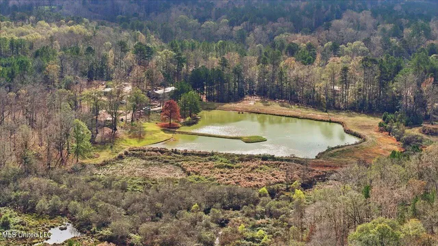 $259,900 | 126 Batton Lake Drive, Mendenhall, MS 39114