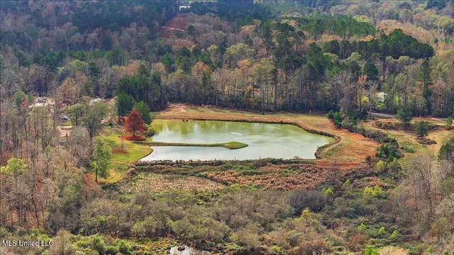 $259,900 | 126 Batton Lake Drive, Mendenhall, MS 39114