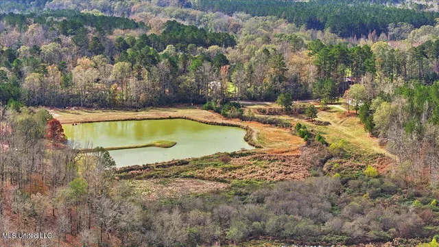 $259,900 | 126 Batton Lake Drive, Mendenhall, MS 39114