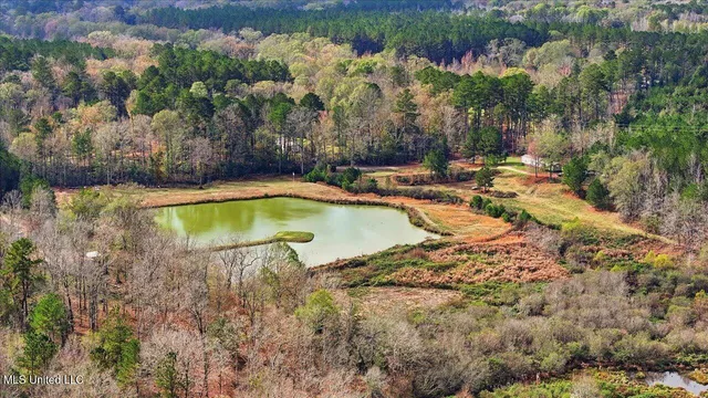 $259,900 | 126 Batton Lake Drive, Mendenhall, MS 39114