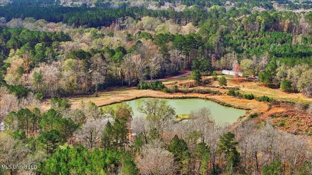 $259,900 | 126 Batton Lake Drive, Mendenhall, MS 39114