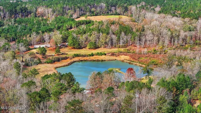 $259,900 | 126 Batton Lake Drive, Mendenhall, MS 39114