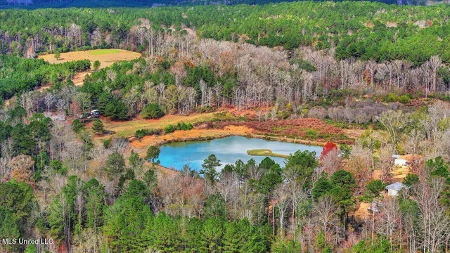 $259,900 | 126 Batton Lake Drive, Mendenhall, MS 39114