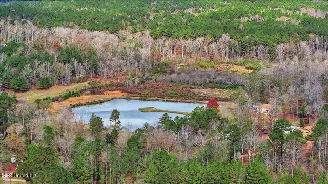 $259,900 | 126 Batton Lake Drive, Mendenhall, MS 39114