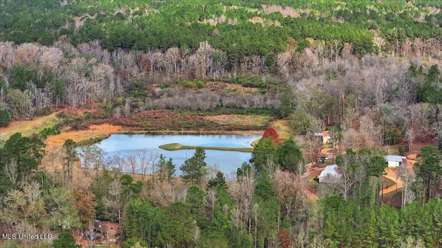 $259,900 | 126 Batton Lake Drive, Mendenhall, MS 39114