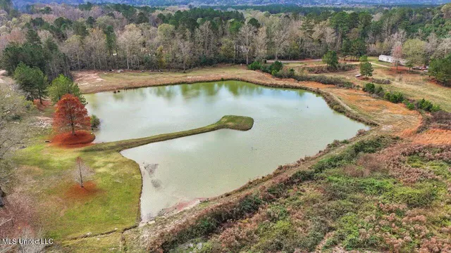 $259,900 | 126 Batton Lake Drive, Mendenhall, MS 39114