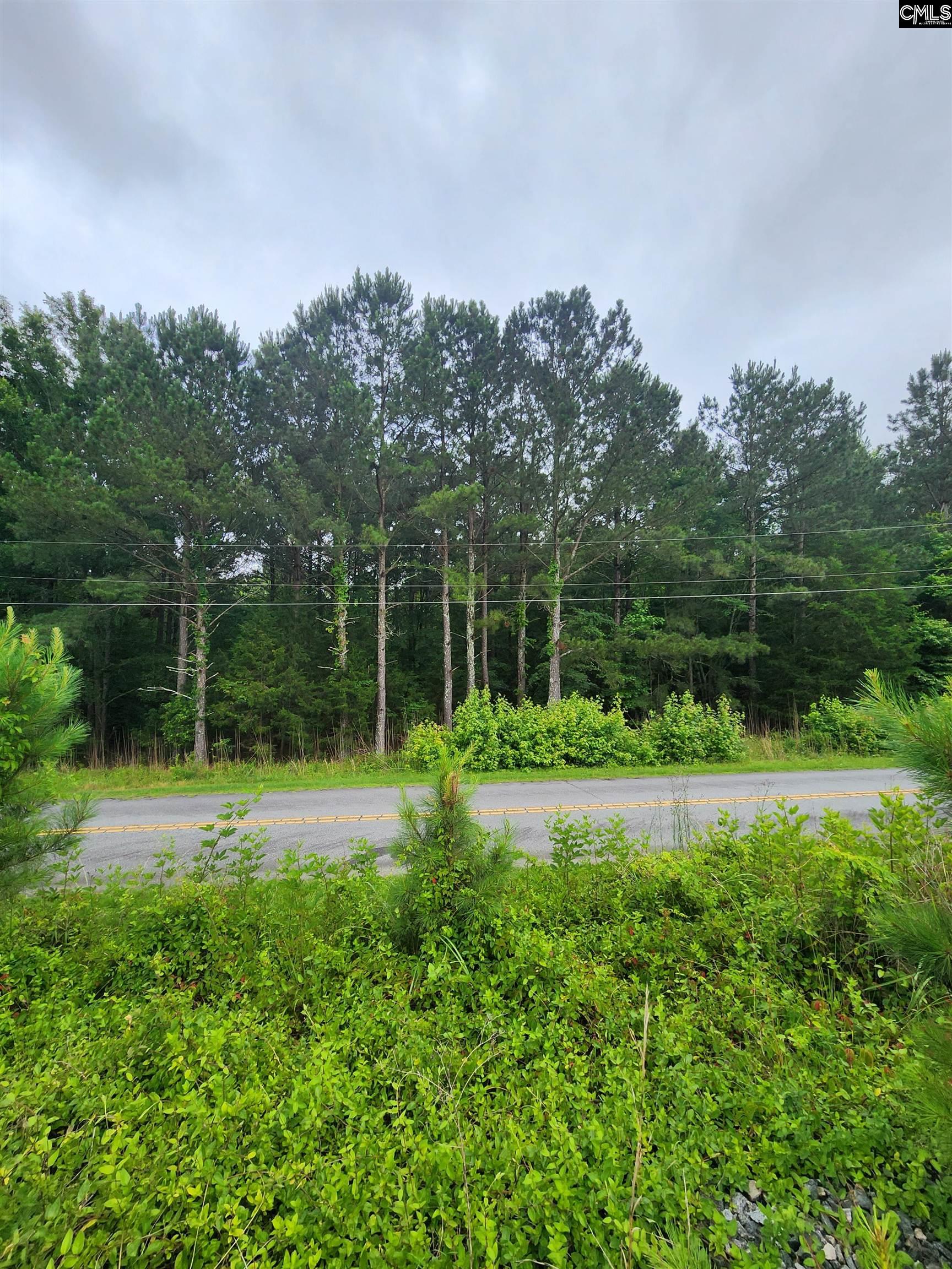 0 Elm Street Prosperity, SC 29127 - Photo 24 of 26