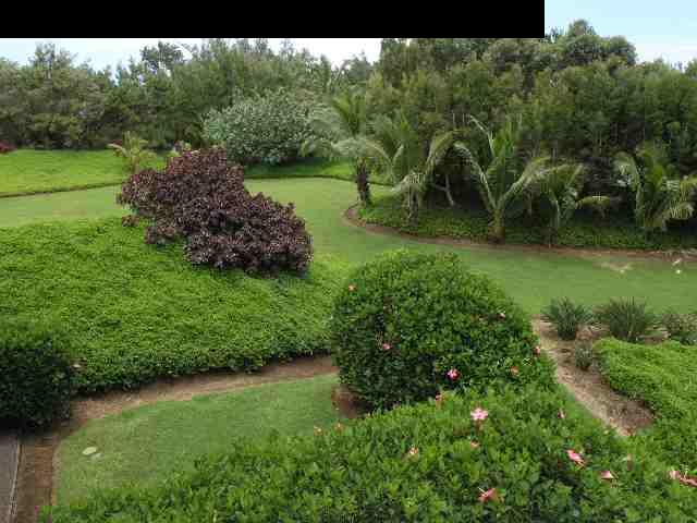 420 Kulike Road, Unit 420 & 420B Haiku, HI 96708 - Photo 8 of 30 Gallery Image 8