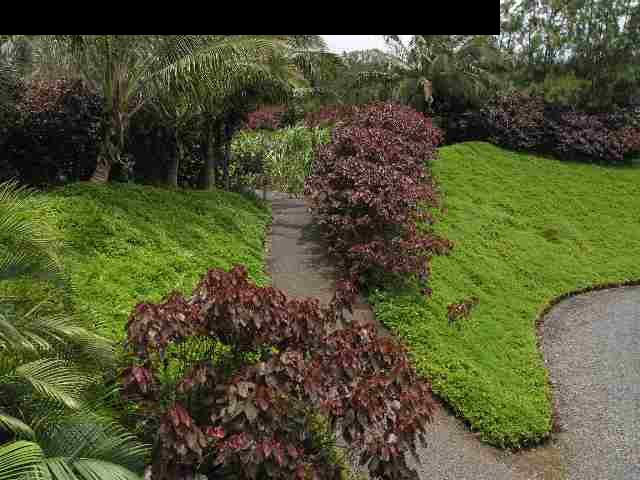 420 Kulike Road, Unit 420 & 420B Haiku, HI 96708 - Photo 10 of 30 Gallery Image 10