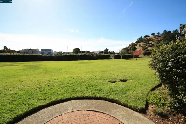 a view of a swimming pool with a garden and trees