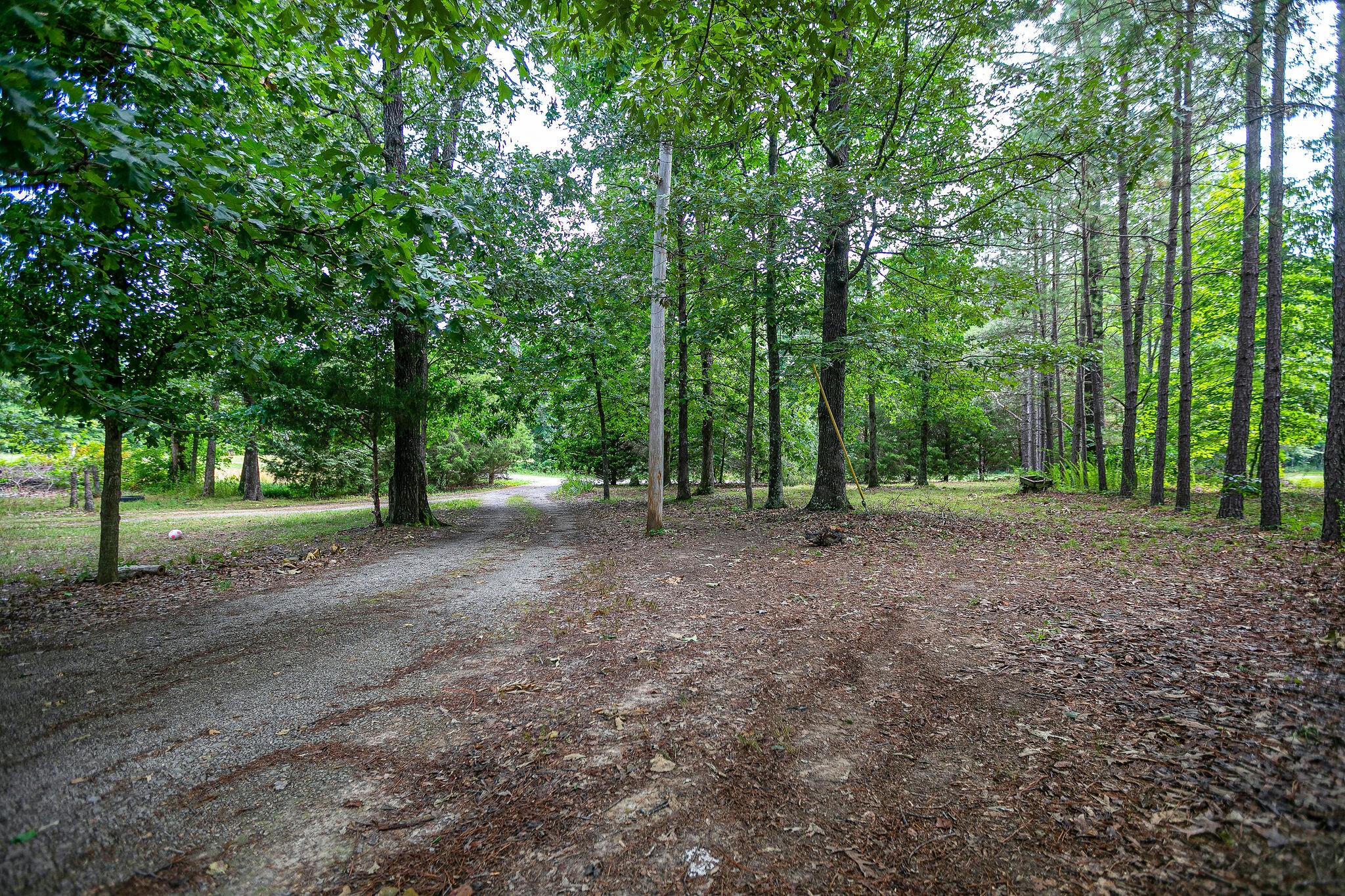 9805 Pinewood Lake Road Nunnelly, TN 37137 - Photo 35 of 37 Gallery Image 35