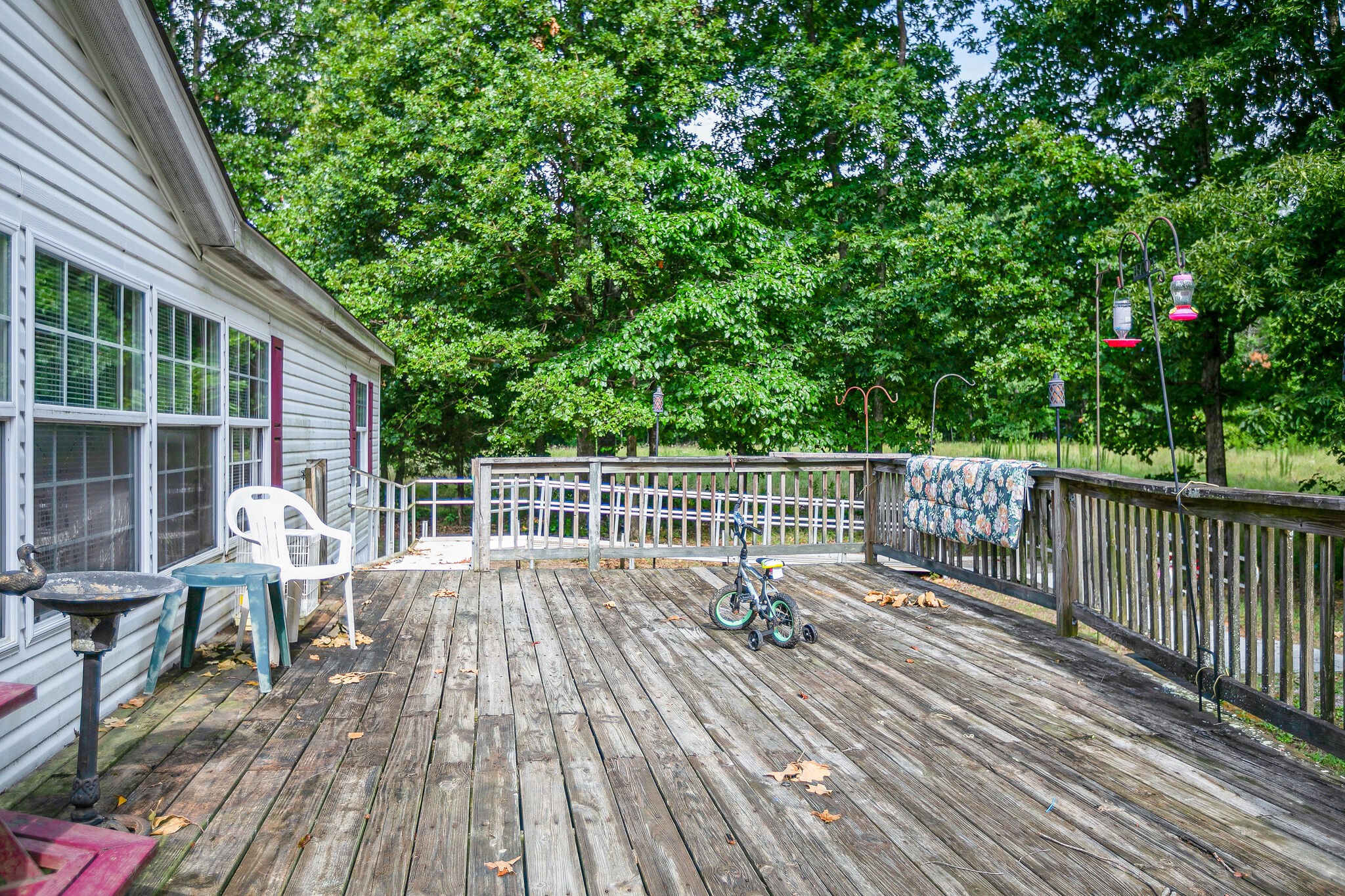 9805 Pinewood Lake Road Nunnelly, TN 37137 - Photo 6 of 37 Gallery Image 6