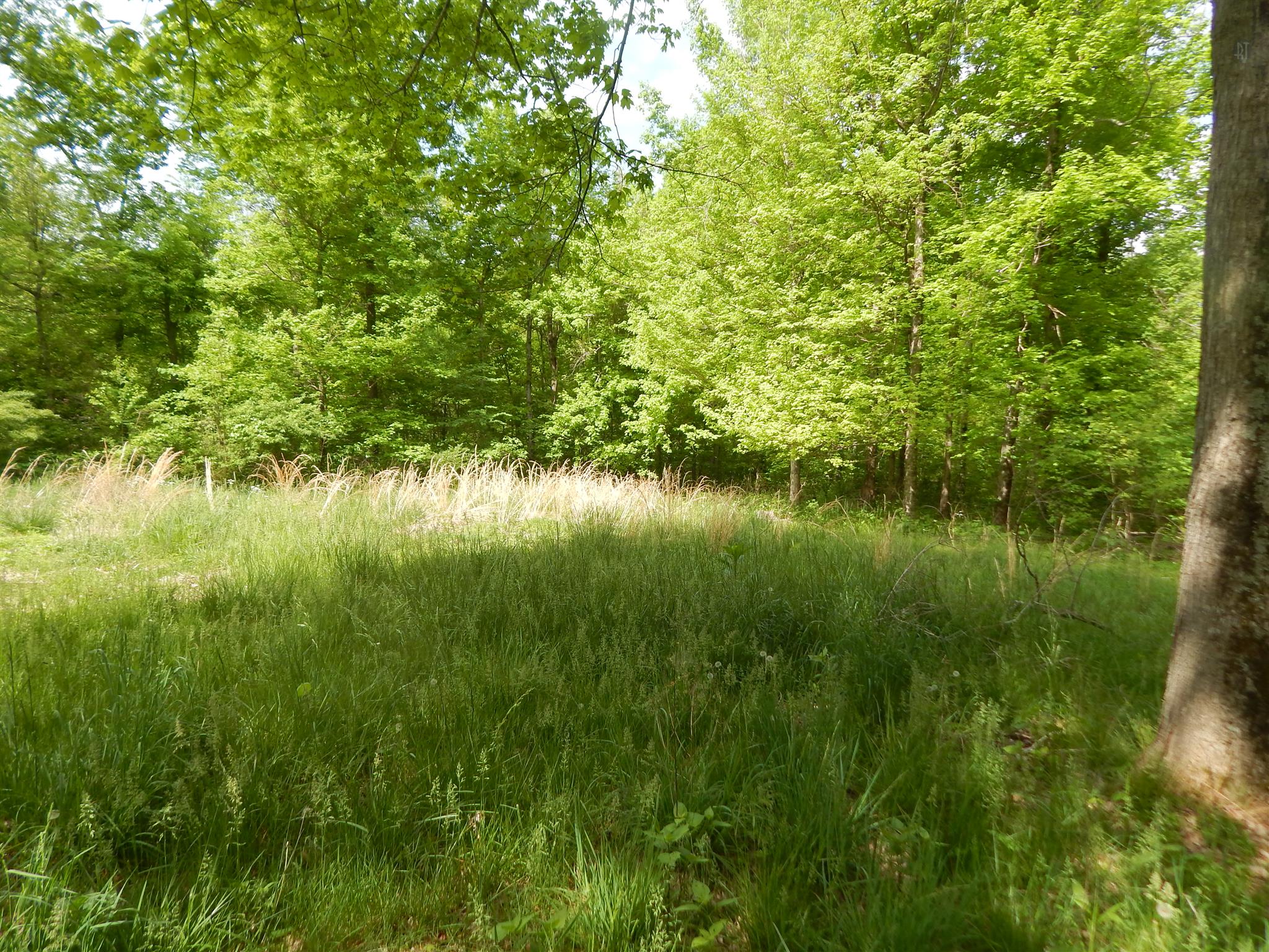 1815 Union Road Dickson, TN 37055 - Photo 1 of 13 Gallery Image 1