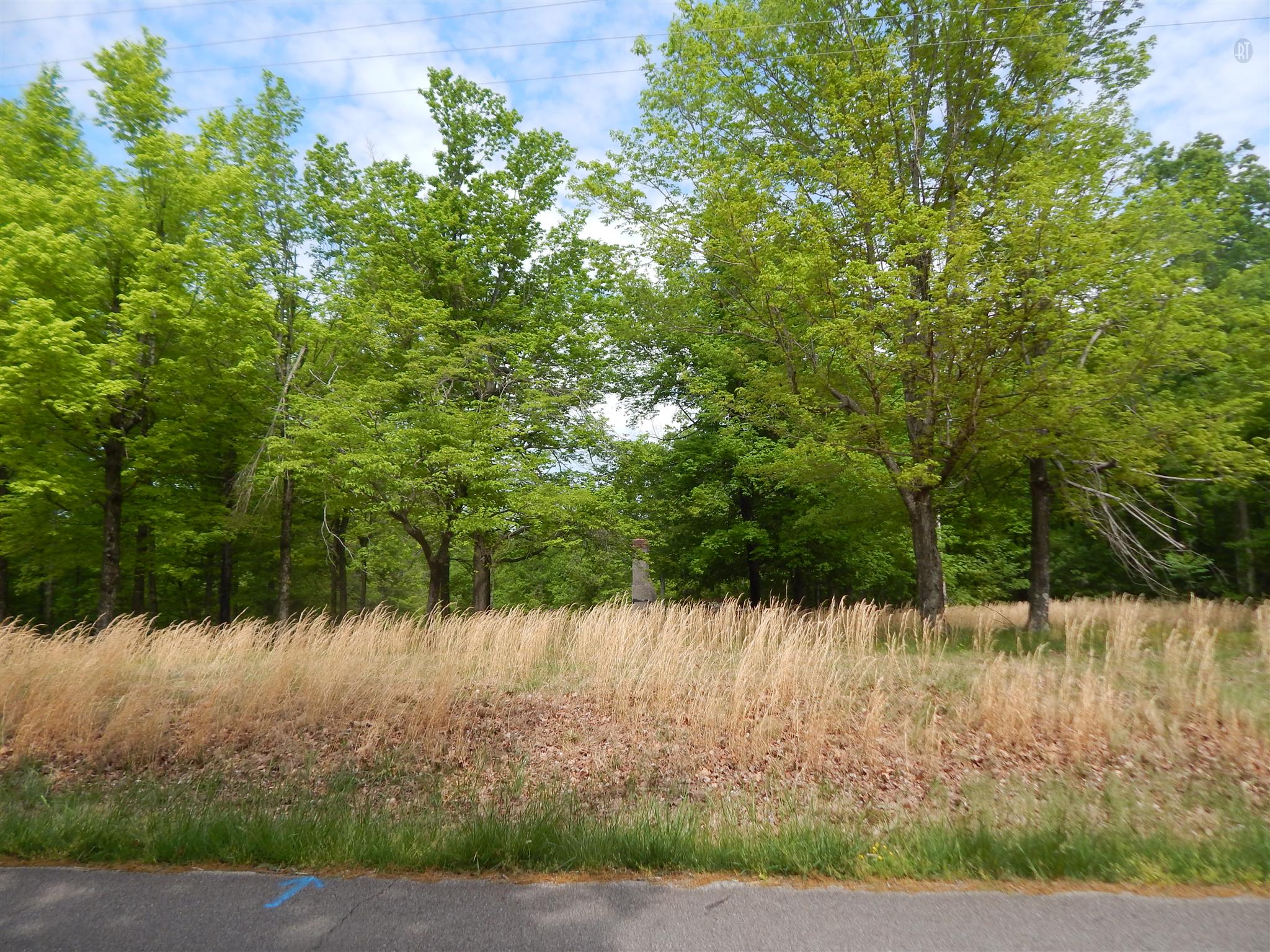 1815 Union Road Dickson, TN 37055 - Photo 11 of 13 Gallery Image 11