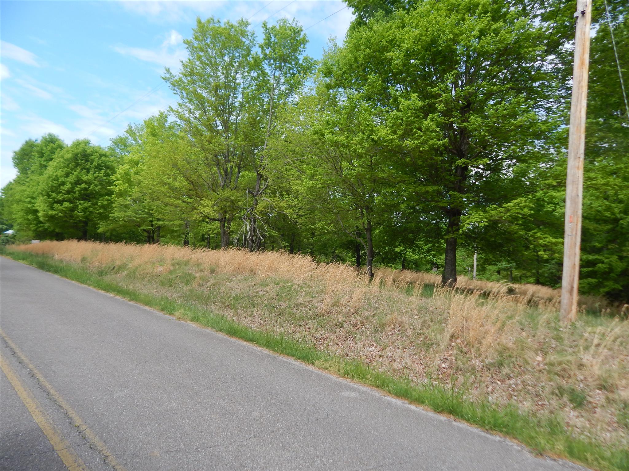 1815 Union Road Dickson, TN 37055 - Photo 12 of 13 Gallery Image 12