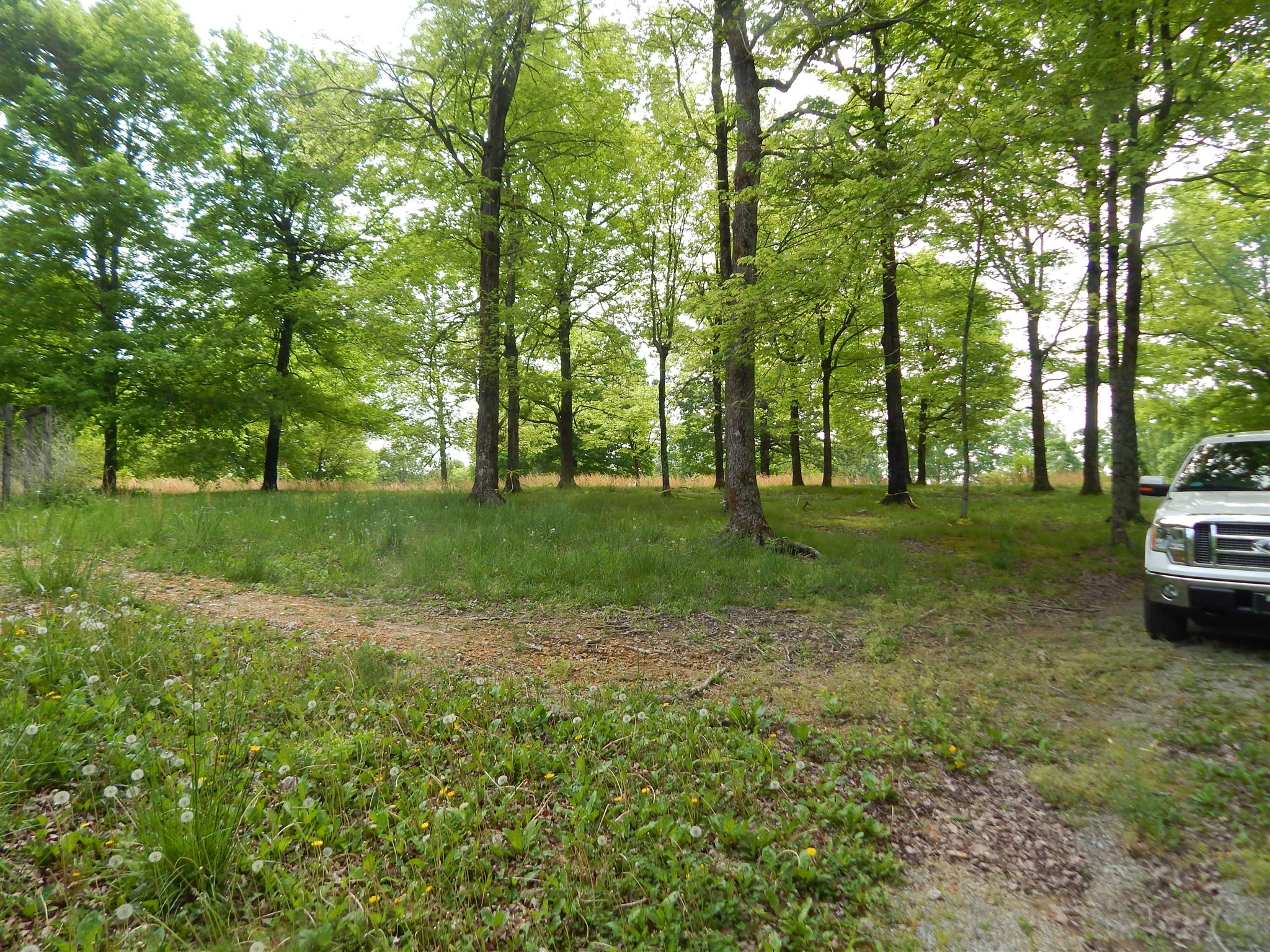 1815 Union Road Dickson, TN 37055 - Photo 3 of 13 Gallery Image 3